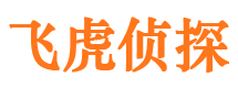 平原市侦探公司